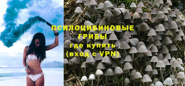 PSILOCYBIN Абаза