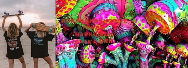 PSILOCYBIN Абаза