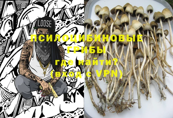 PSILOCYBIN Абаза